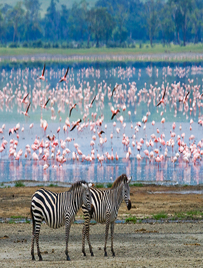 Kenya and Tanzania Safari Route