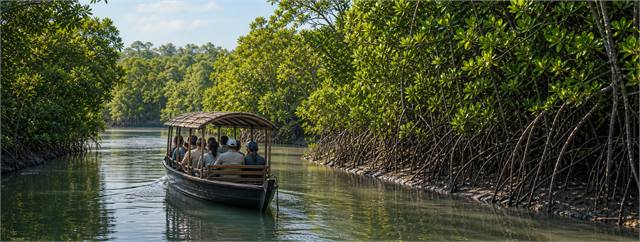 Sundarban Safari